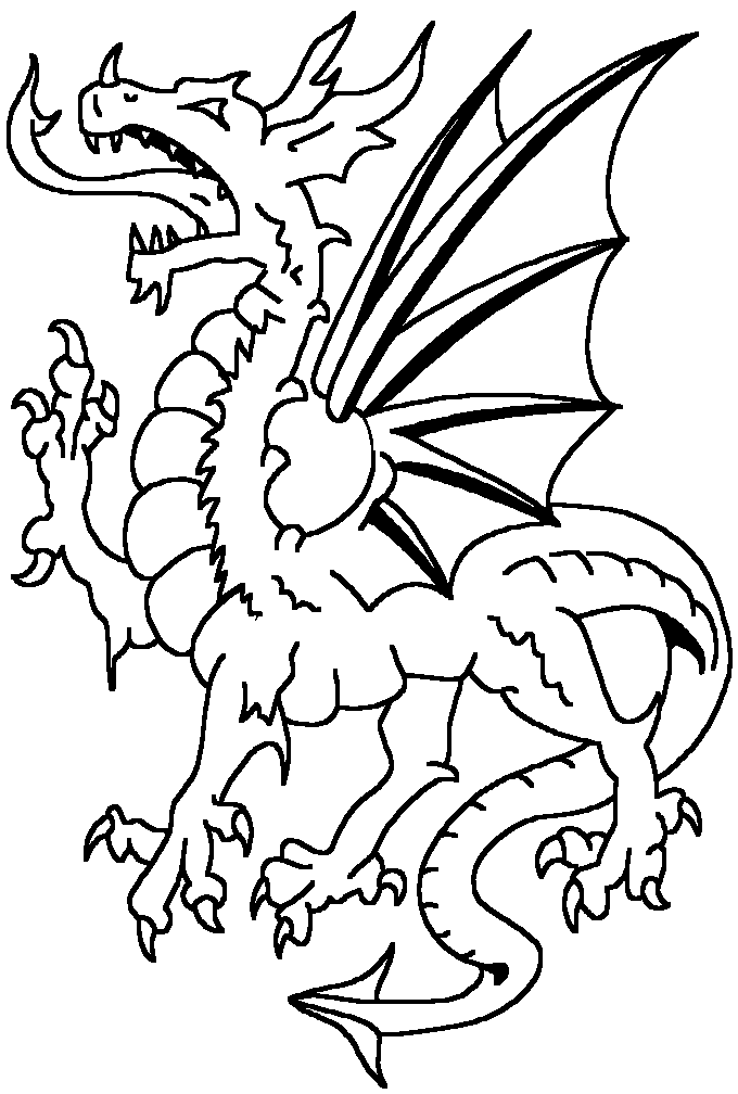 bw-dragon008