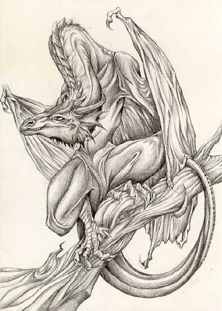 Cara_Mitten_Wyvern__1998