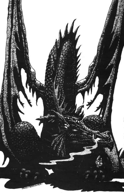 bw-dragon061