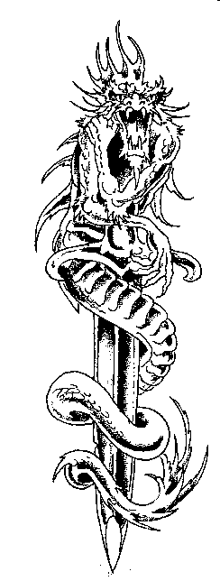 p54_1