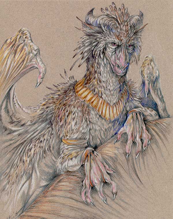 Cara-Mitten-Feathered-dragon