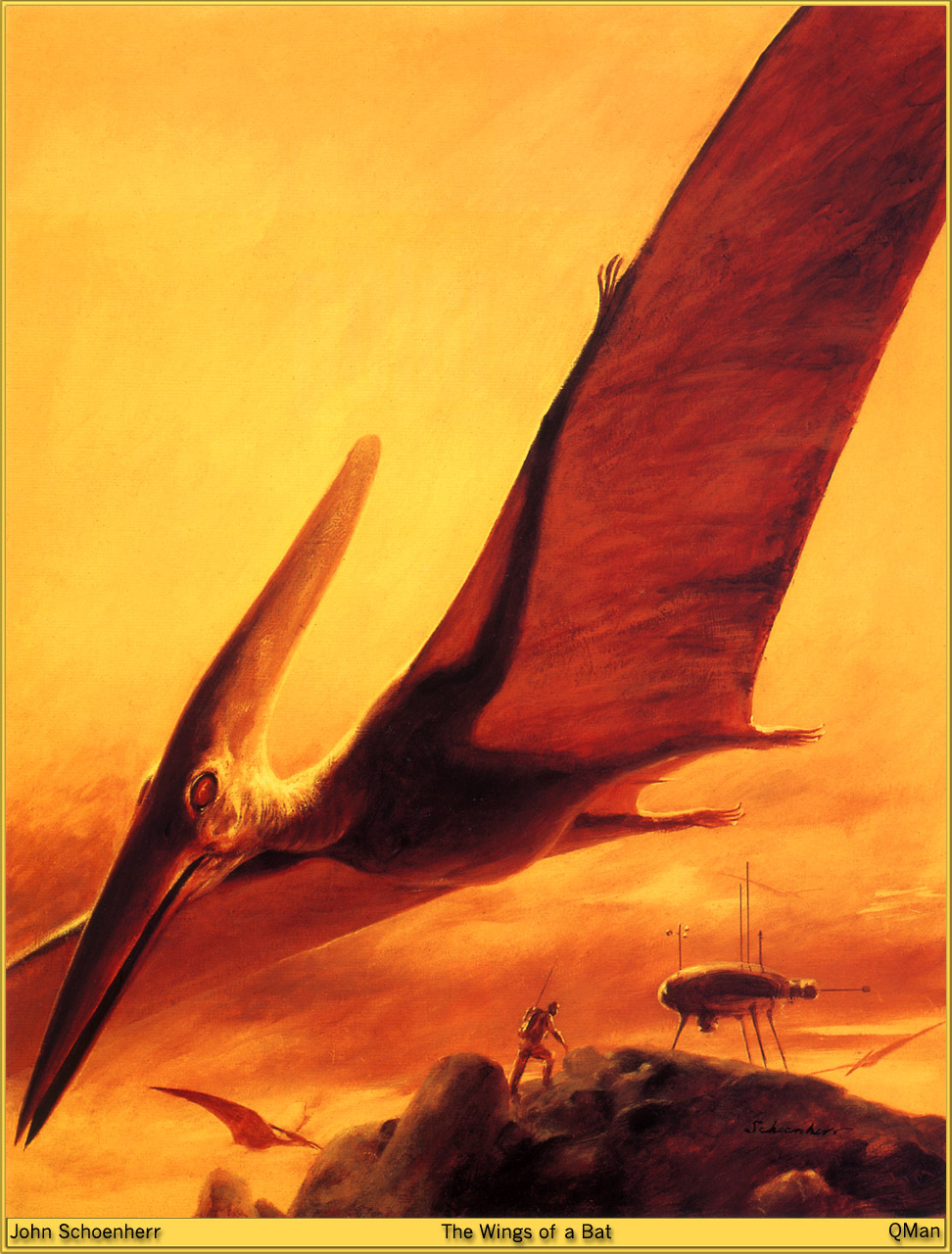 John-Schoenhern-The-Wings-of-a-Bat