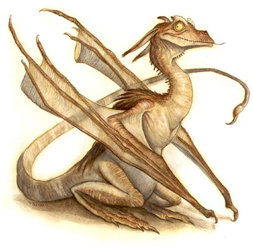 Tony-Diterlizzi-Study-Of-A-Pseudo-Dragon