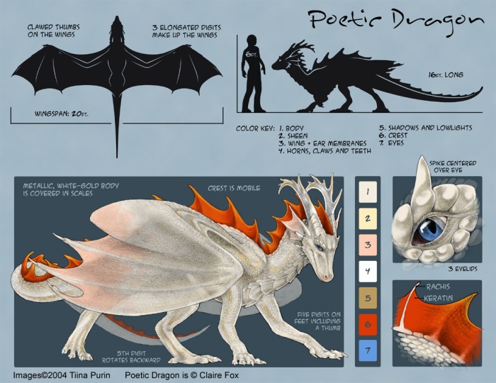 poeticdragonmodelsheet